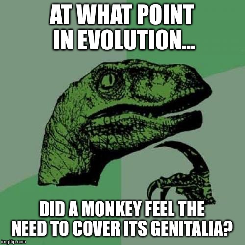 Philosoraptor Meme | AT WHAT POINT IN EVOLUTION... DID A MONKEY FEEL THE NEED TO COVER ITS GENITALIA? | image tagged in memes,philosoraptor | made w/ Imgflip meme maker