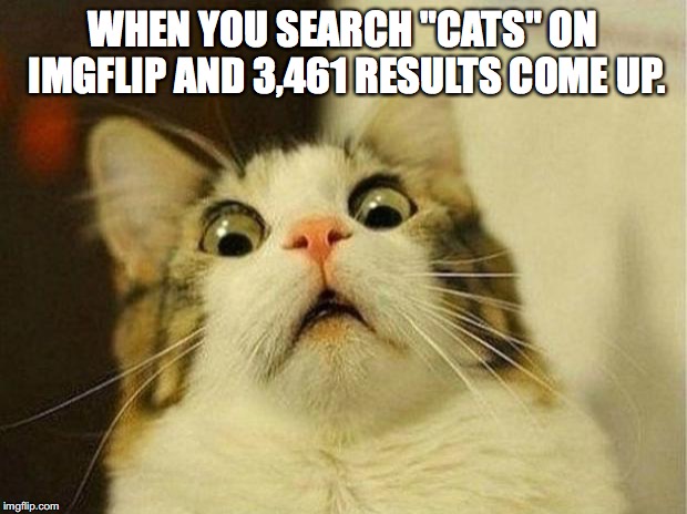 Scared Cat Meme | WHEN YOU SEARCH "CATS" ON IMGFLIP AND 3,461 RESULTS COME UP. | image tagged in memes,scared cat | made w/ Imgflip meme maker