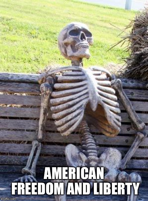 Waiting Skeleton Meme | AMERICAN FREEDOM AND LIBERTY | image tagged in memes,waiting skeleton | made w/ Imgflip meme maker