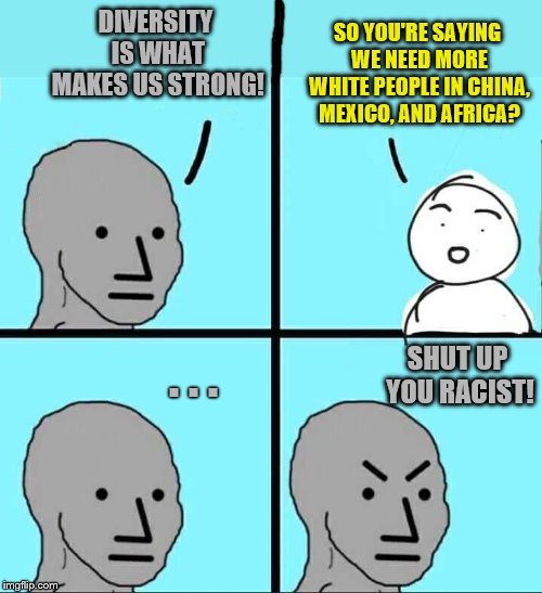 Also more black people in China and Mexico, more Mexicans in Africa and China, exc. exc. | DIVERSITY IS WHAT MAKES US STRONG! SO YOU'RE SAYING WE NEED MORE WHITE PEOPLE IN CHINA, MEXICO, AND AFRICA? . . . SHUT UP YOU RACIST! | image tagged in npc meme,memes,diversity,racist | made w/ Imgflip meme maker