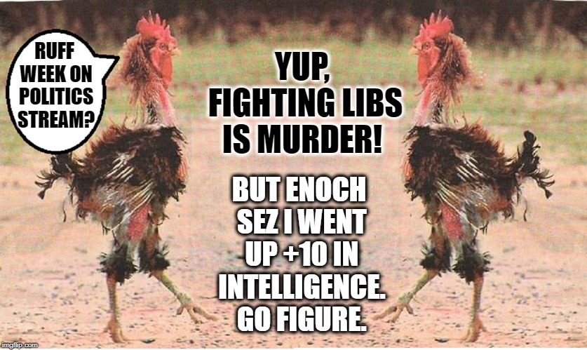 The Politics Stream is not for Sissies. Proceed at your own peril! | RUFF WEEK ON POLITICS STREAM? YUP, FIGHTING LIBS IS MURDER! BUT ENOCH SEZ I WENT UP +10 IN INTELLIGENCE. GO FIGURE. | image tagged in vince vance,warning,chickens,warning label,politics stream,angry liberal | made w/ Imgflip meme maker