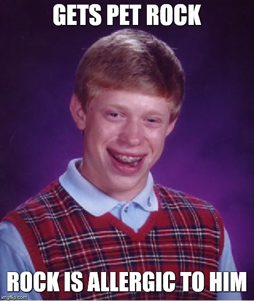 Bad Luck Brian Meme | GETS PET ROCK ROCK IS ALLERGIC TO HIM | image tagged in memes,bad luck brian | made w/ Imgflip meme maker