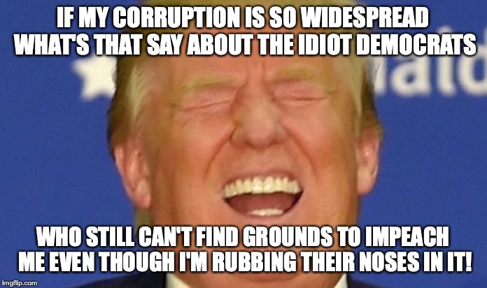 If the (supposedly) idiotic President has outsmarted you, you just might be a Democrat. | IF MY CORRUPTION IS SO WIDESPREAD WHAT'S THAT SAY ABOUT THE IDIOT DEMOCRATS; WHO STILL CAN'T FIND GROUNDS TO IMPEACH ME EVEN THOUGH I'M RUBBING THEIR NOSES IN IT! | image tagged in trump laughing | made w/ Imgflip meme maker