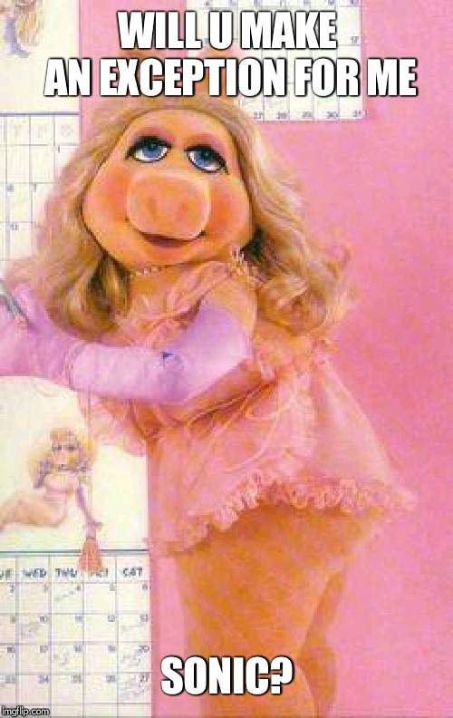 sexy mrs piggy | WILL U MAKE AN EXCEPTION FOR ME SONIC? | image tagged in sexy mrs piggy | made w/ Imgflip meme maker