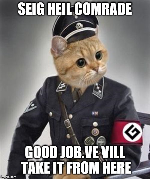 Grammar Nazi Cat | SEIG HEIL COMRADE GOOD JOB.VE VILL TAKE IT FROM HERE | image tagged in grammar nazi cat | made w/ Imgflip meme maker