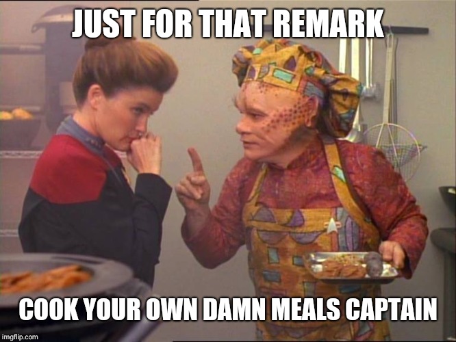 Neelix Star Trek | JUST FOR THAT REMARK COOK YOUR OWN DAMN MEALS CAPTAIN | image tagged in neelix star trek | made w/ Imgflip meme maker