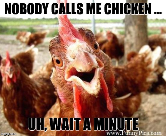 Chicken | NOBODY CALLS ME CHICKEN ... UH, WAIT A MINUTE | image tagged in chicken | made w/ Imgflip meme maker