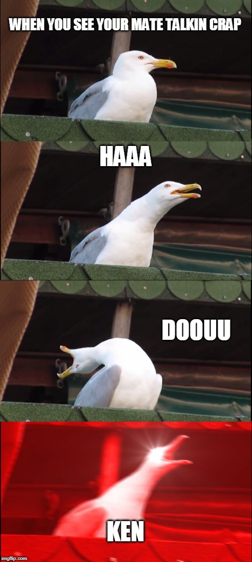 Inhaling Seagull Meme | WHEN YOU SEE YOUR MATE TALKIN CRAP; HAAA; DOOUU; KEN | image tagged in memes,inhaling seagull | made w/ Imgflip meme maker
