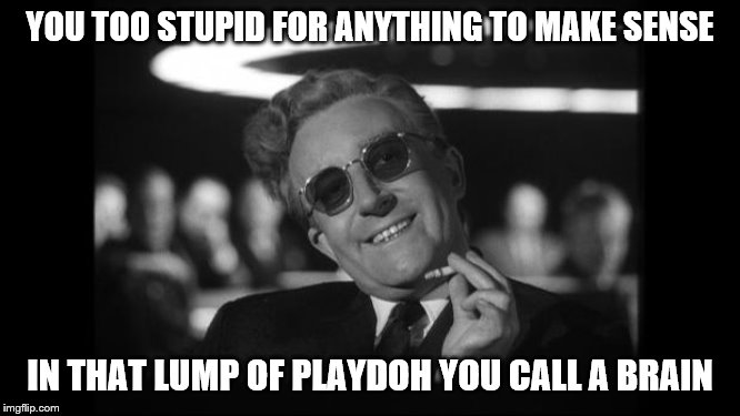 dr strangelove | YOU TOO STUPID FOR ANYTHING TO MAKE SENSE IN THAT LUMP OF PLAYDOH YOU CALL A BRAIN | image tagged in dr strangelove | made w/ Imgflip meme maker