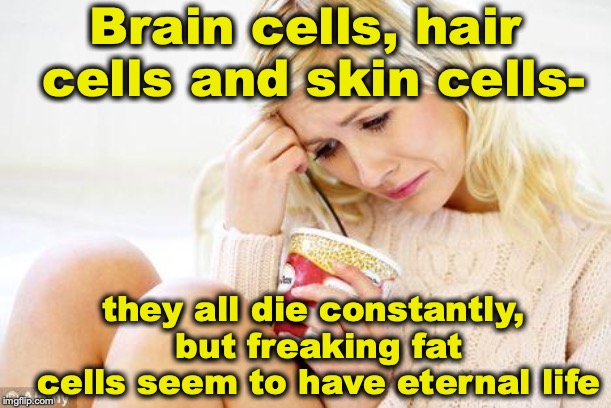 A Ladle At A Time | Brain cells, hair cells and skin cells-; they all die constantly, but freaking fat cells seem to have eternal life | image tagged in crying woman eating ice cream,weight loss | made w/ Imgflip meme maker