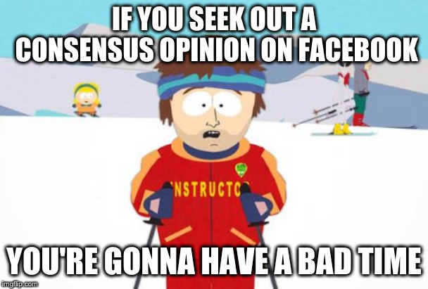 Super Cool Ski Instructor |  IF YOU SEEK OUT A CONSENSUS OPINION ON FACEBOOK; YOU'RE GONNA HAVE A BAD TIME | image tagged in memes,super cool ski instructor,AdviceAnimals | made w/ Imgflip meme maker