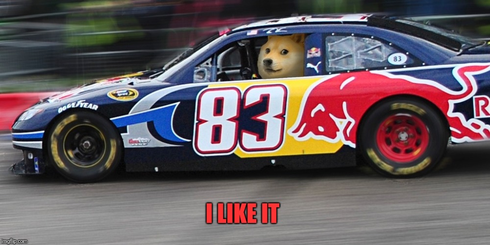 Race car doge  | I LIKE IT | image tagged in race car doge | made w/ Imgflip meme maker
