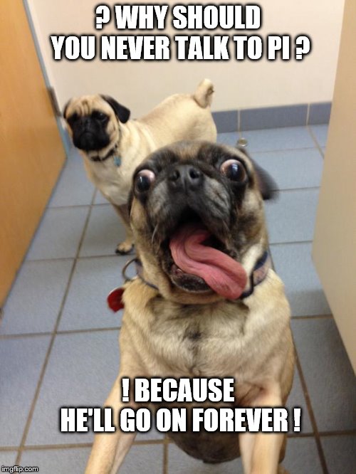 pug love | ? WHY SHOULD YOU NEVER TALK TO PI ? ! BECAUSE HE'LL GO ON FOREVER ! | image tagged in pug love | made w/ Imgflip meme maker