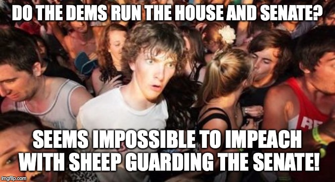 Sudden Clarity Clarence Meme | DO THE DEMS RUN THE HOUSE AND SENATE? SEEMS IMPOSSIBLE TO IMPEACH WITH SHEEP GUARDING THE SENATE! | image tagged in memes,sudden clarity clarence | made w/ Imgflip meme maker