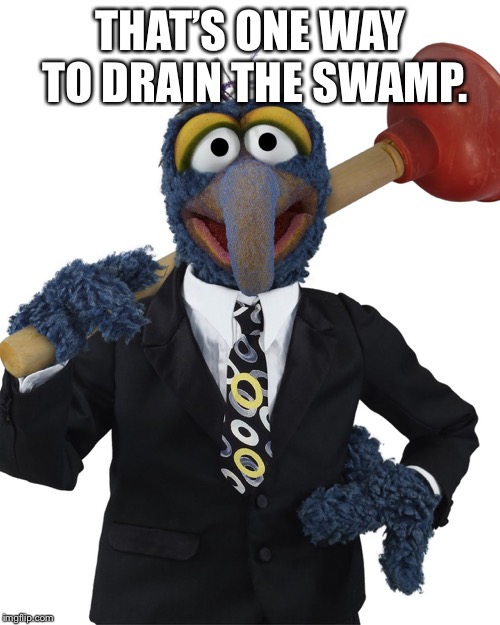 Gonzo Plunger | THAT’S ONE WAY TO DRAIN THE SWAMP. | image tagged in gonzo plunger | made w/ Imgflip meme maker