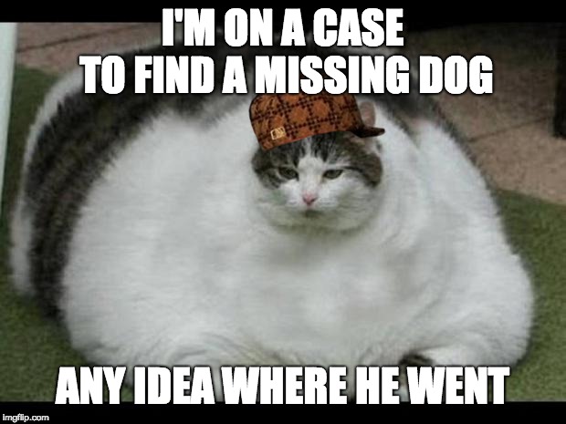 fat cat 2 | I'M ON A CASE TO FIND A MISSING DOG; ANY IDEA WHERE HE WENT | image tagged in fat cat 2 | made w/ Imgflip meme maker