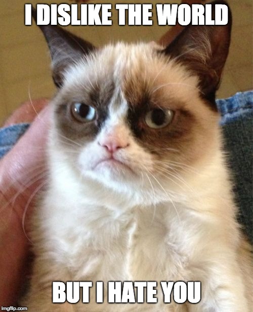 Grumpy Cat Meme | I DISLIKE THE WORLD; BUT I HATE YOU | image tagged in memes,grumpy cat | made w/ Imgflip meme maker
