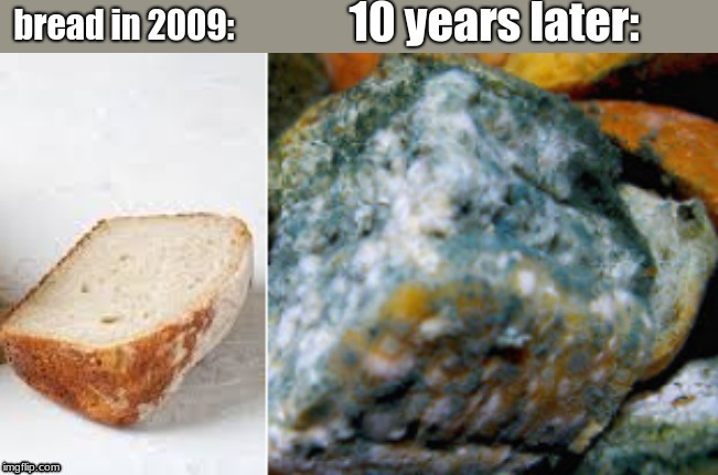 10 year challenge | image tagged in memes,bread | made w/ Imgflip meme maker