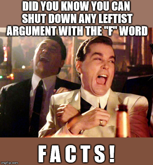 Good Fellas Hilarious | DID YOU KNOW YOU CAN SHUT DOWN ANY LEFTIST ARGUMENT WITH THE "F" WORD; F A C T S ! | image tagged in memes,good fellas hilarious | made w/ Imgflip meme maker