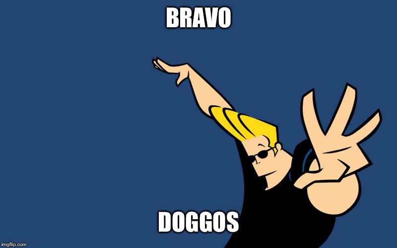 Johnny Bravo Whoa | BRAVO DOGGOS | image tagged in johnny bravo whoa | made w/ Imgflip meme maker