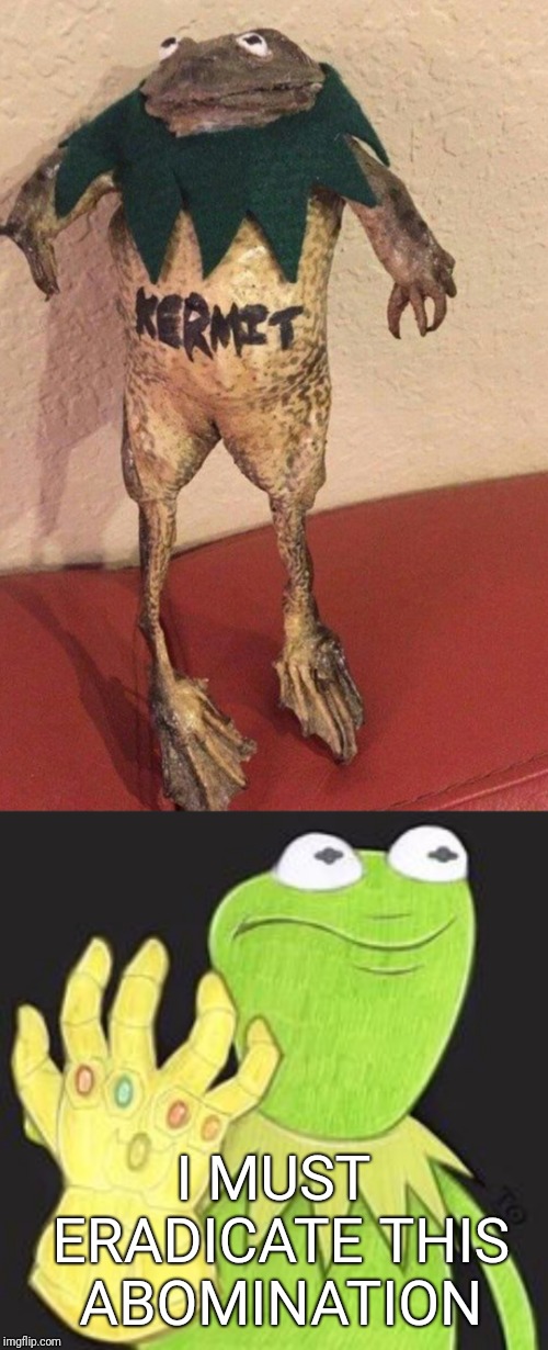 Kermit does not approve.  | I MUST ERADICATE THIS ABOMINATION | image tagged in kermit the frog | made w/ Imgflip meme maker