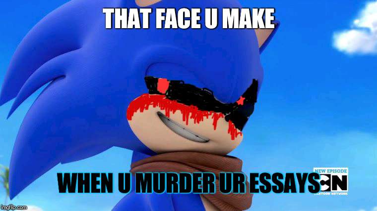 Sonic Meme | THAT FACE U MAKE; WHEN U MURDER UR ESSAYS | image tagged in sonic meme | made w/ Imgflip meme maker