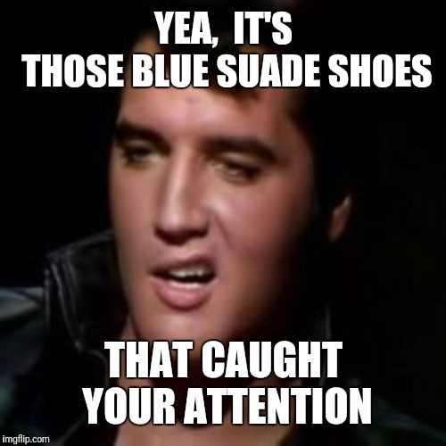 Elvis, thank you | YEA,  IT'S THOSE BLUE SUADE SHOES THAT CAUGHT YOUR ATTENTION | image tagged in elvis thank you | made w/ Imgflip meme maker