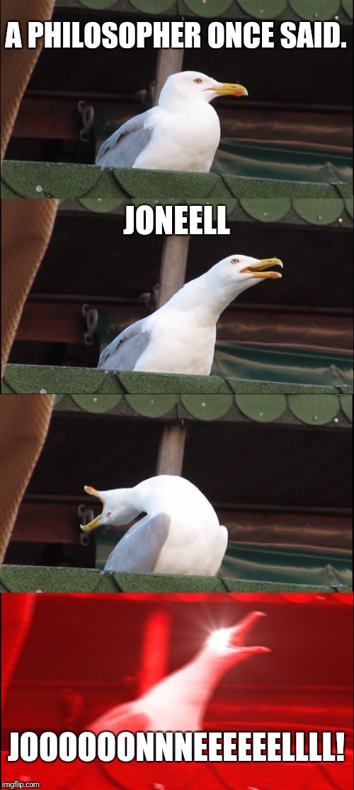 Inhaling Seagull | A PHILOSOPHER ONCE SAID. JONEELL; JOOOOOONNNEEEEEELLLL! | image tagged in memes,inhaling seagull | made w/ Imgflip meme maker