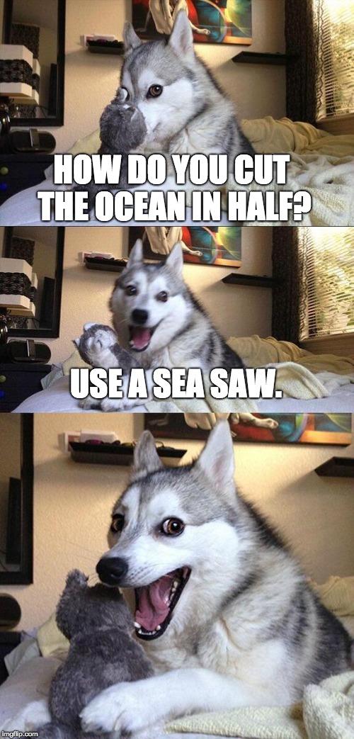 Bad Pun Dog | HOW DO YOU CUT THE OCEAN IN HALF? USE A SEA SAW. | image tagged in memes,bad pun dog | made w/ Imgflip meme maker