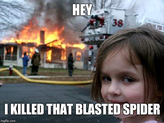 Disaster Girl | HEY; I KILLED THAT BLASTED SPIDER | image tagged in memes,disaster girl | made w/ Imgflip meme maker
