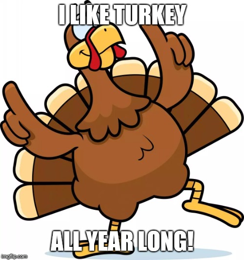Turkey | I LIKE TURKEY ALL YEAR LONG! | image tagged in turkey | made w/ Imgflip meme maker
