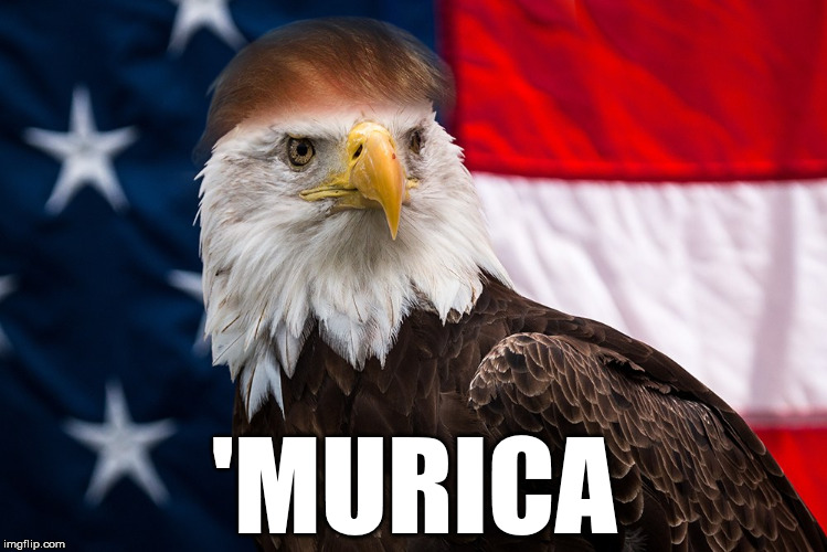 Trump Eagle- 'Murica | 'MURICA | image tagged in trump eagle,'murica,america,maga | made w/ Imgflip meme maker