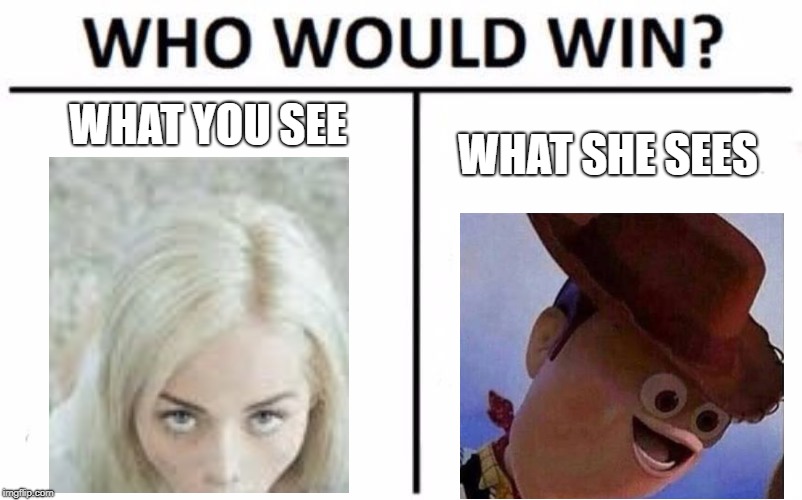 Who Would Win? Meme | WHAT YOU SEE; WHAT SHE SEES | image tagged in memes,who would win | made w/ Imgflip meme maker