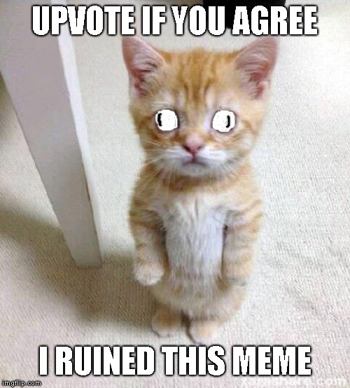 Cute Cat | UPVOTE IF YOU AGREE; I RUINED THIS MEME | image tagged in memes,cute cat | made w/ Imgflip meme maker