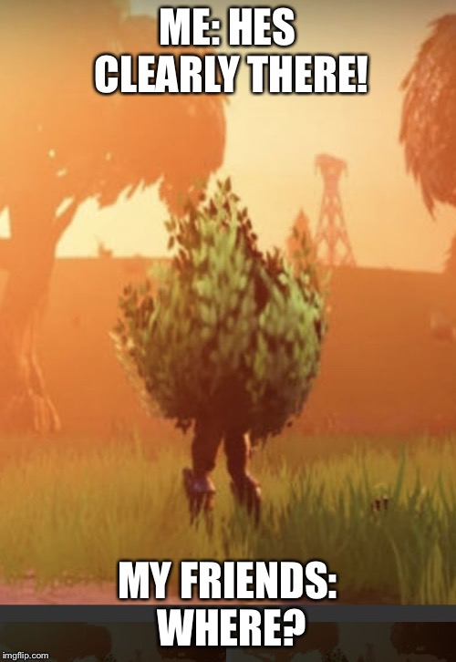 Fortnite bush | ME: HES CLEARLY THERE! MY FRIENDS: WHERE? | image tagged in fortnite bush | made w/ Imgflip meme maker