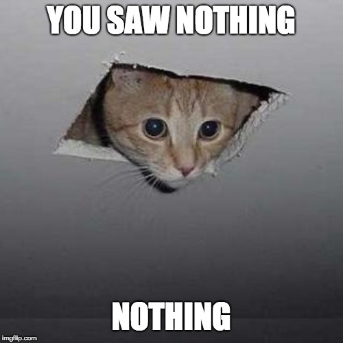Ceiling Cat | YOU SAW NOTHING; NOTHING | image tagged in memes,ceiling cat | made w/ Imgflip meme maker