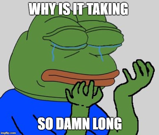 pepe cry | WHY IS IT TAKING; SO DAMN LONG | image tagged in pepe cry | made w/ Imgflip meme maker