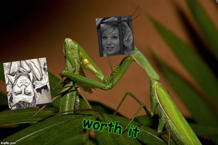 Mantis Cannibal |  worth it | image tagged in mantis cannibal | made w/ Imgflip meme maker