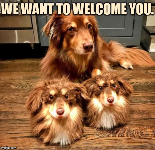 WE WANT TO WELCOME YOU. | made w/ Imgflip meme maker