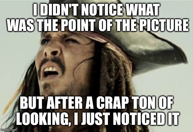 confused dafuq jack sparrow what | I DIDN'T NOTICE WHAT WAS THE POINT OF THE PICTURE BUT AFTER A CRAP TON OF LOOKING, I JUST NOTICED IT | image tagged in confused dafuq jack sparrow what | made w/ Imgflip meme maker