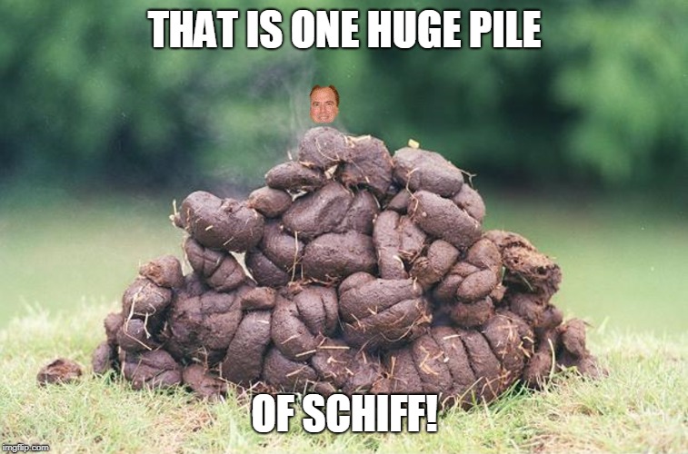 HUGE pile of Schiff! | THAT IS ONE HUGE PILE; OF SCHIFF! | image tagged in politics,democrats,schiff is shit,schiff is poop,democrats are poop | made w/ Imgflip meme maker