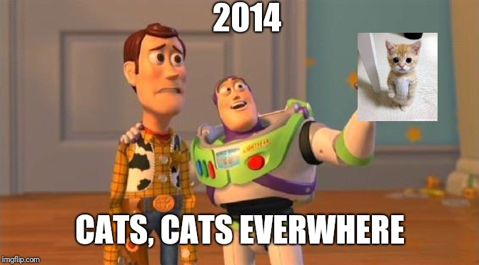 Buzz And Woody | 2014; CATS, CATS EVERWHERE | image tagged in buzz and woody | made w/ Imgflip meme maker