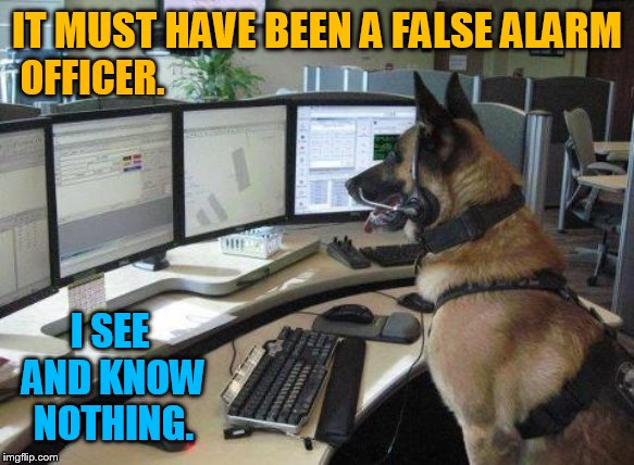 IT MUST HAVE BEEN A FALSE ALARM I SEE AND KNOW NOTHING. OFFICER. | made w/ Imgflip meme maker