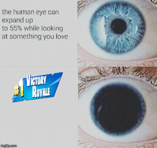 Victory | image tagged in fortnite,victory,pupil of the eye,battle royale | made w/ Imgflip meme maker