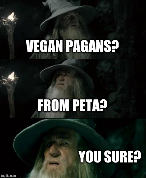 Confused Gandalf Meme | VEGAN PAGANS? FROM PETA? YOU SURE? | image tagged in memes,confused gandalf | made w/ Imgflip meme maker
