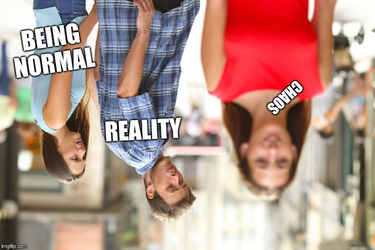Distracted Boyfriend | BEING NORMAL; CHAOS; REALITY | image tagged in memes,distracted boyfriend | made w/ Imgflip meme maker