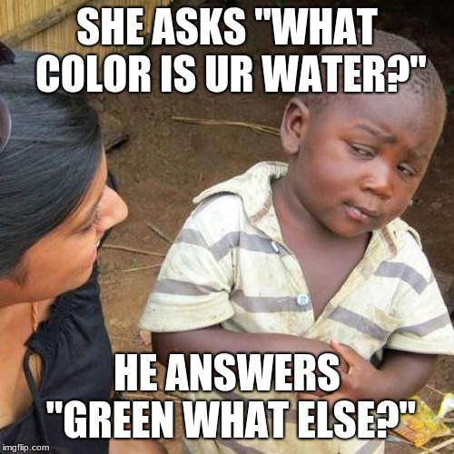 Third World Skeptical Kid | SHE ASKS "WHAT COLOR IS UR WATER?"; HE ANSWERS "GREEN WHAT ELSE?" | image tagged in memes,third world skeptical kid | made w/ Imgflip meme maker