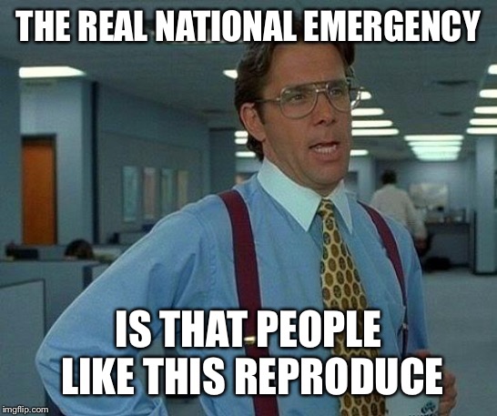 That Would Be Great Meme | THE REAL NATIONAL EMERGENCY IS THAT PEOPLE LIKE THIS REPRODUCE | image tagged in memes,that would be great | made w/ Imgflip meme maker