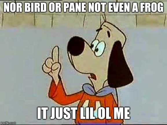 NOR BIRD OR PANE NOT EVEN A FROG IT JUST LIL OL ME | image tagged in underdog | made w/ Imgflip meme maker