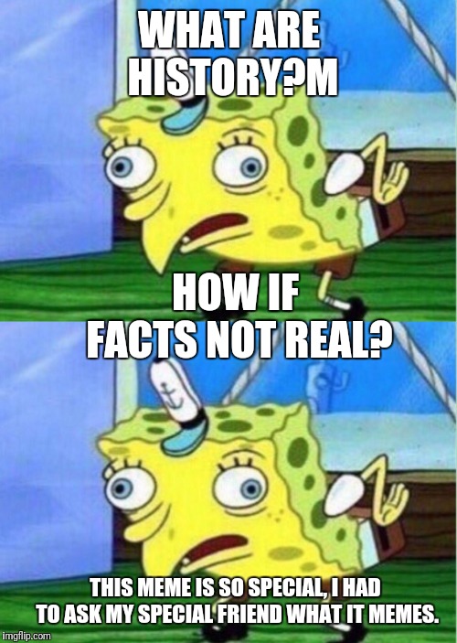 WHAT ARE HISTORY?M HOW IF FACTS NOT REAL? THIS MEME IS SO SPECIAL, I HAD TO ASK MY SPECIAL FRIEND WHAT IT MEMES. | image tagged in memes,mocking spongebob | made w/ Imgflip meme maker